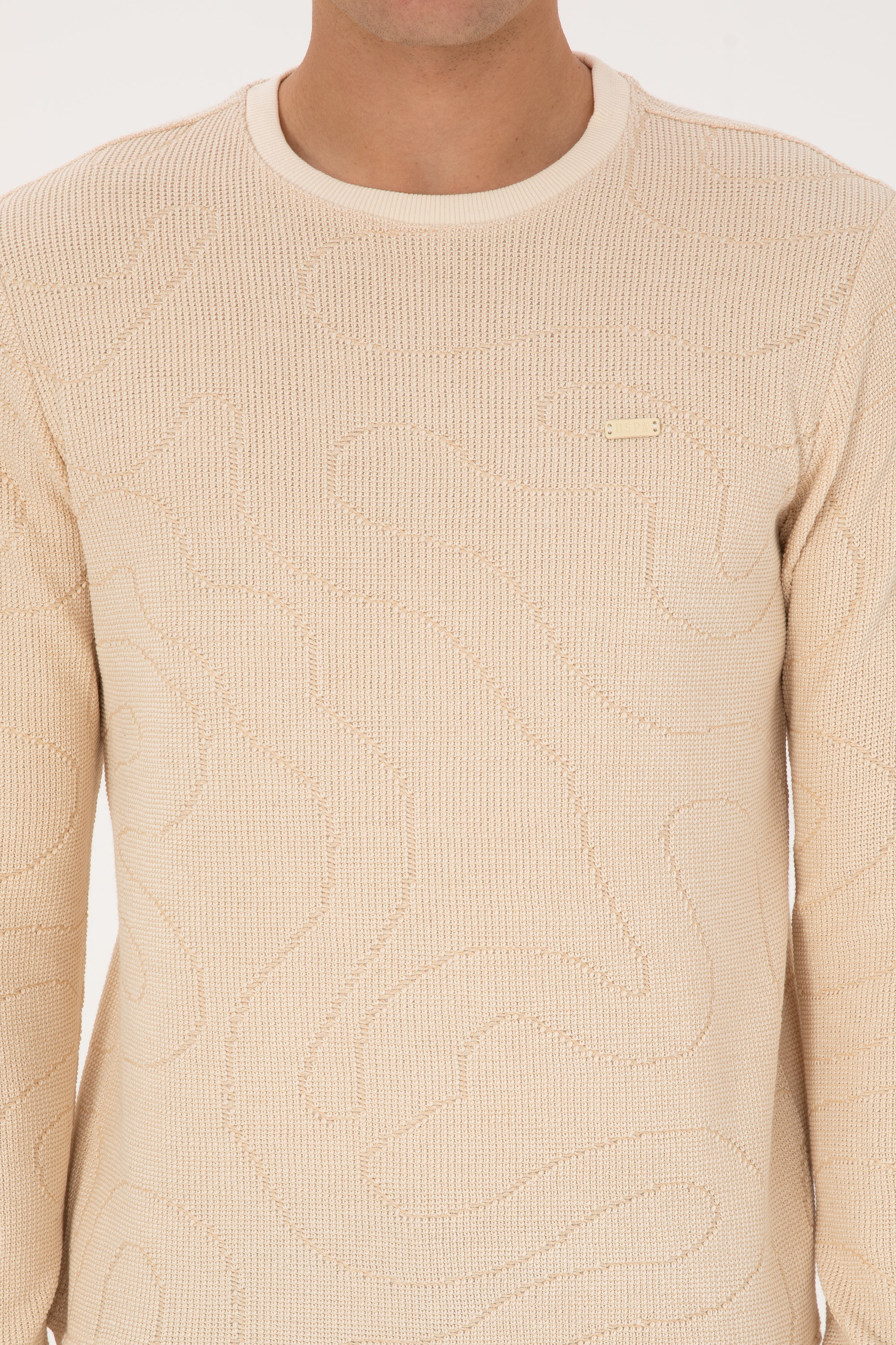 Erkek Regular Fit Bisiklet Yaka Desenli Krem Sweatshirt - Image 6