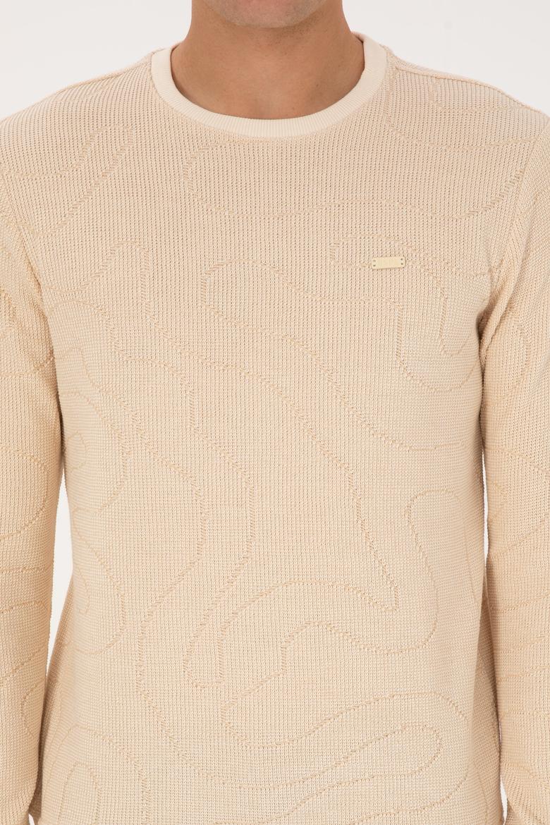Erkek Regular Fit Bisiklet Yaka Desenli Krem Sweatshirt - 50308910019
