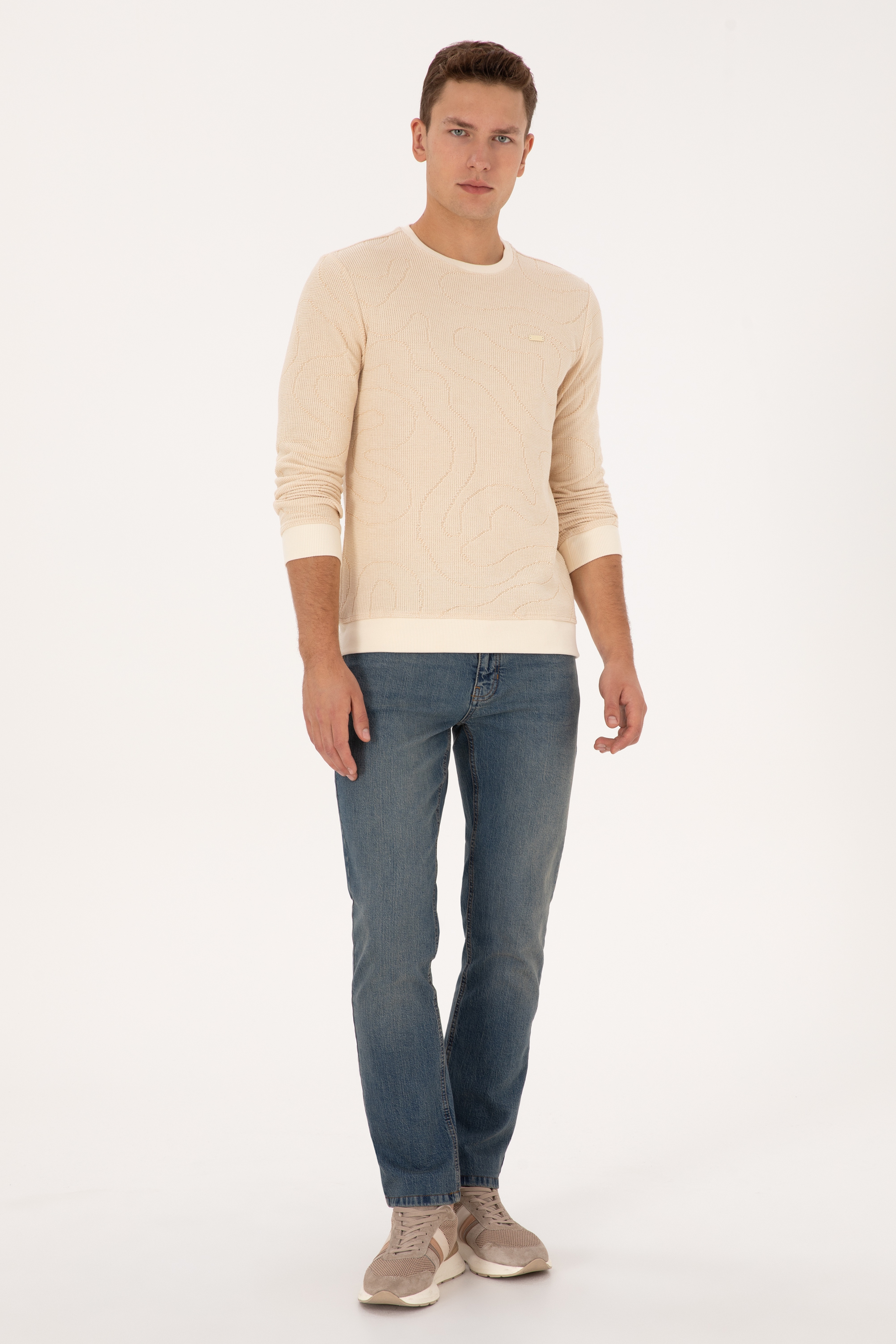 Erkek Regular Fit Bisiklet Yaka Desenli Krem Sweatshirt - Image 4