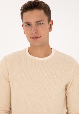 Erkek Regular Fit Bisiklet Yaka Desenli Krem Sweatshirt - 50308910019