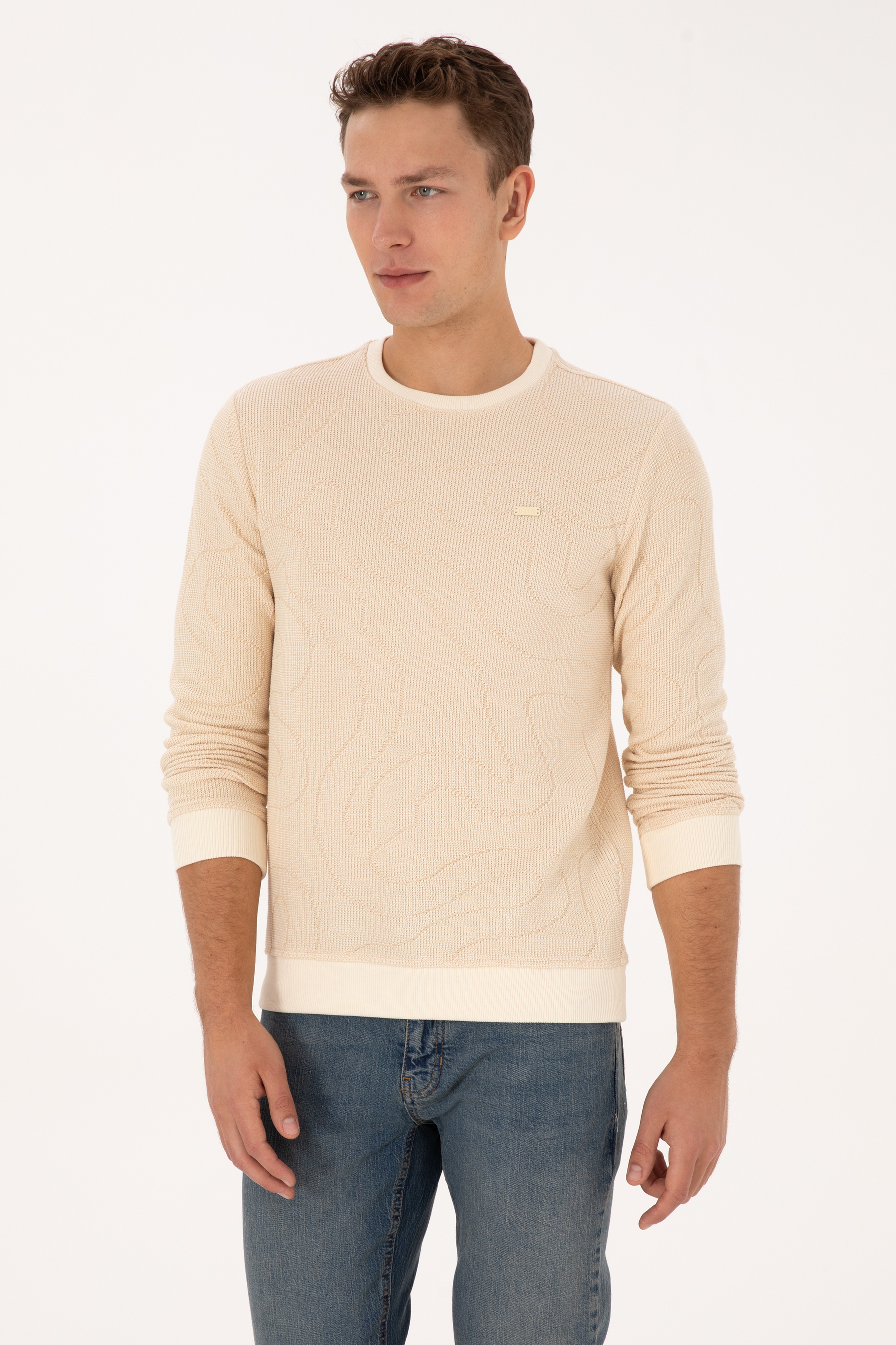 Erkek Regular Fit Bisiklet Yaka Desenli Krem Sweatshirt
