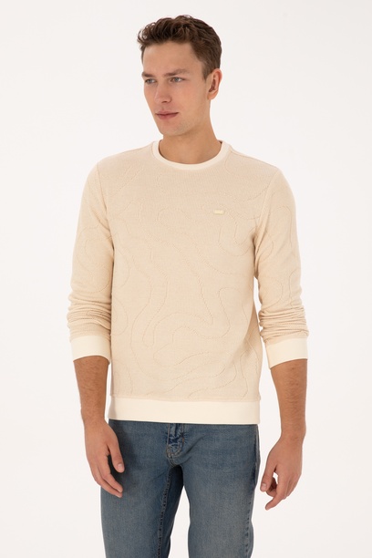 Erkek Regular Fit Bisiklet Yaka Desenli Krem Sweatshirt