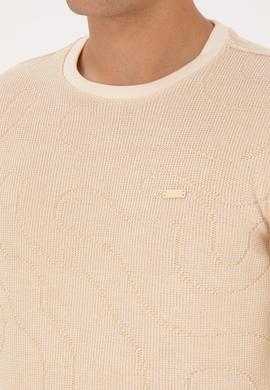 Erkek Regular Fit Bisiklet Yaka Desenli Krem Sweatshirt - 50308910019