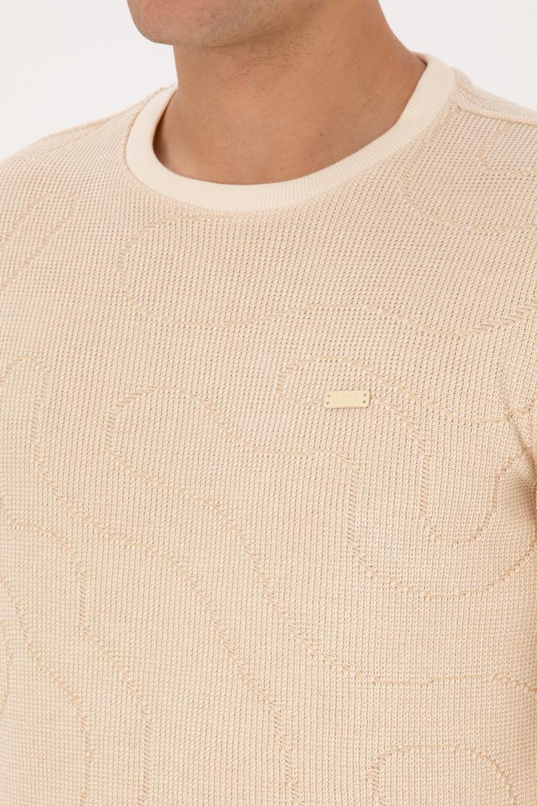 Erkek Regular Fit Bisiklet Yaka Desenli Krem Sweatshirt - 50308910019