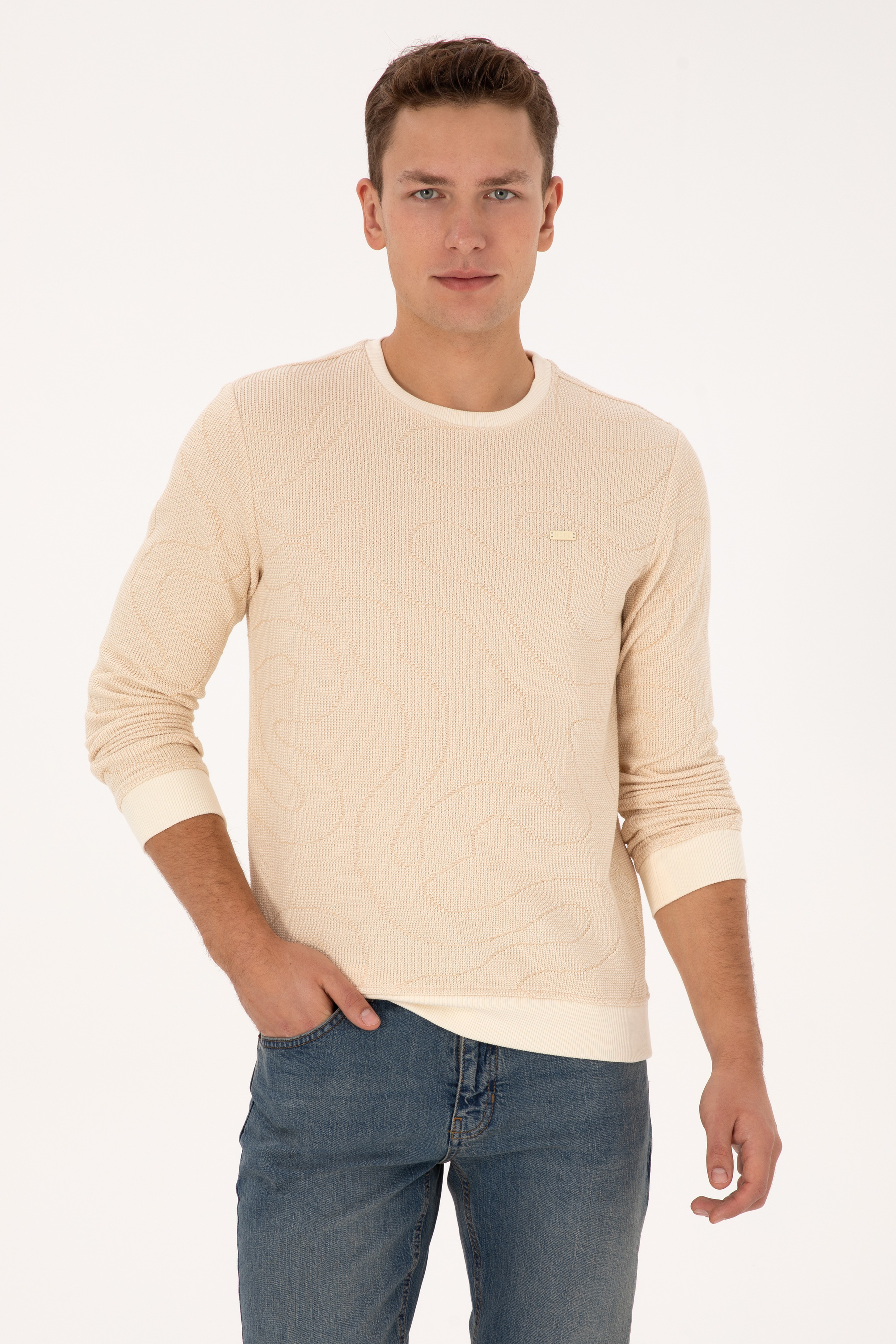 Erkek Regular Fit Bisiklet Yaka Desenli Krem Sweatshirt - Image 1