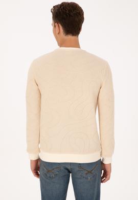 Erkek Regular Fit Bisiklet Yaka Desenli Krem Sweatshirt - 50308910019