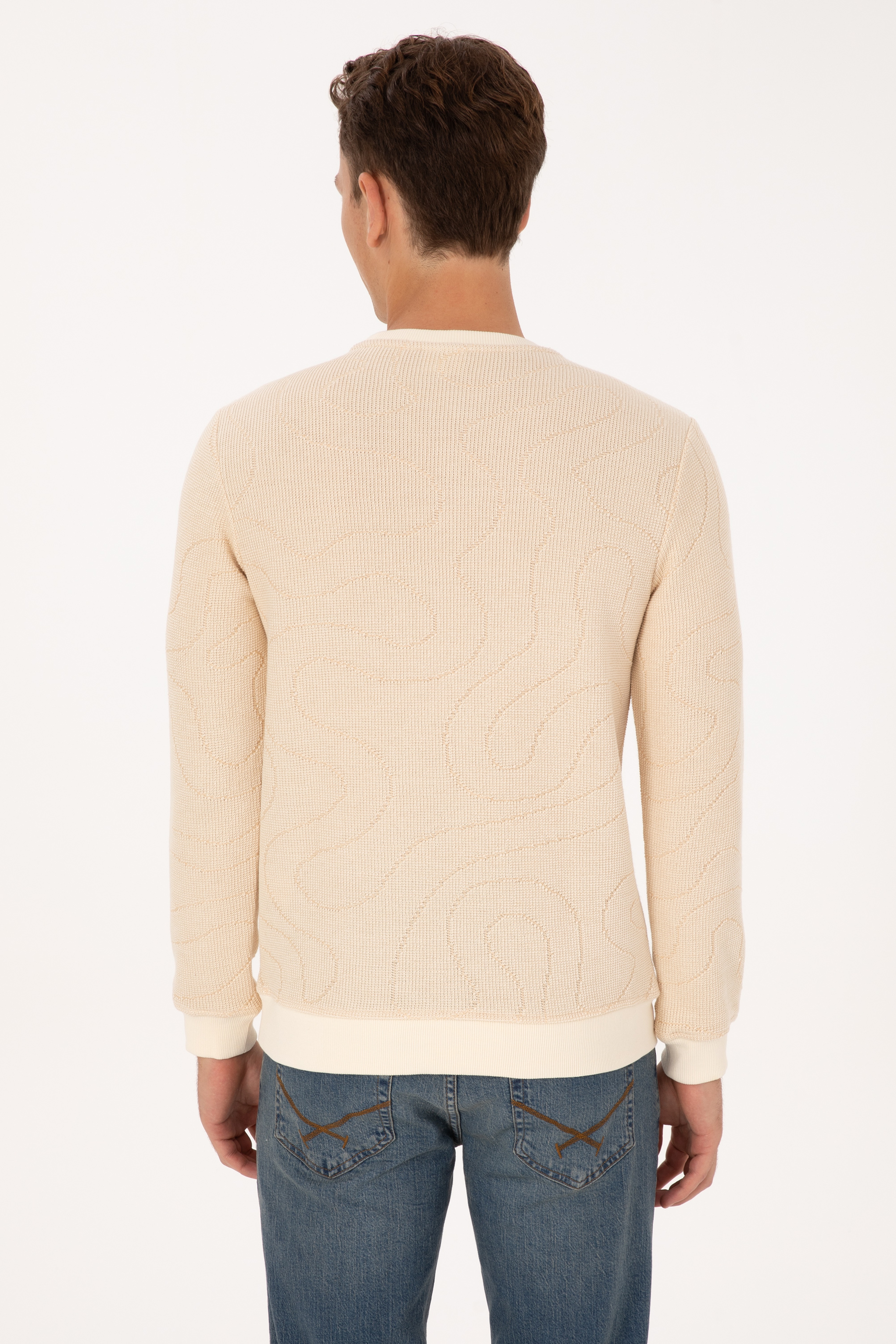 Erkek Regular Fit Bisiklet Yaka Desenli Krem Sweatshirt - Image 5