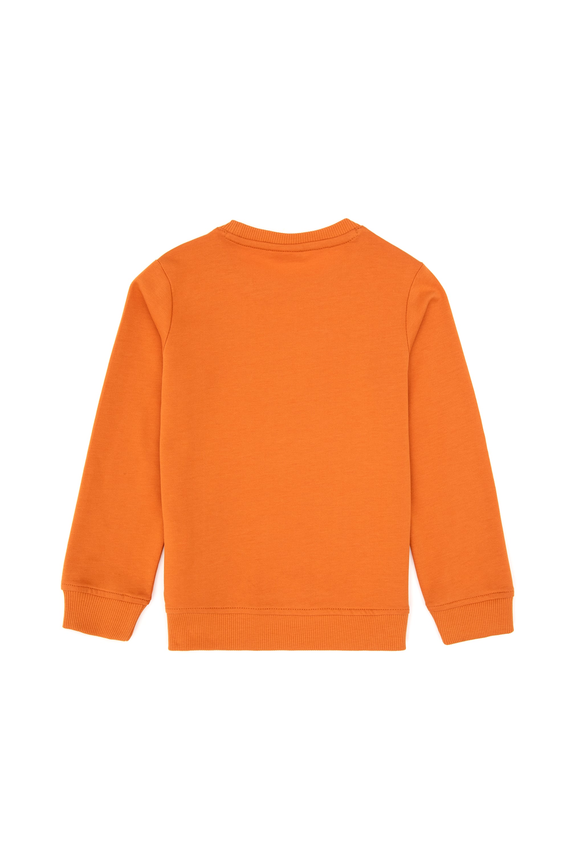 Erkek Çocuk Bakır Bisiklet Yaka Sweatshirt