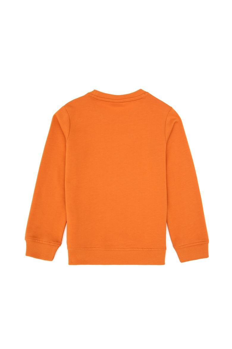 Erkek Çocuk Bakır Bisiklet Yaka Sweatshirt - 50313900080