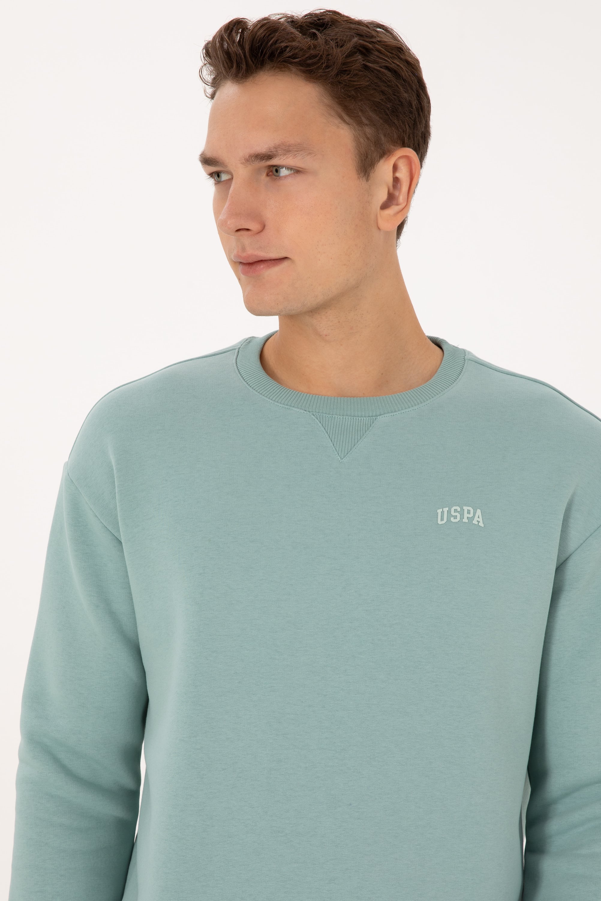 Erkek Comfort Fit Bisiklet Yaka Şardonlu Mint Basic Sweatshirt