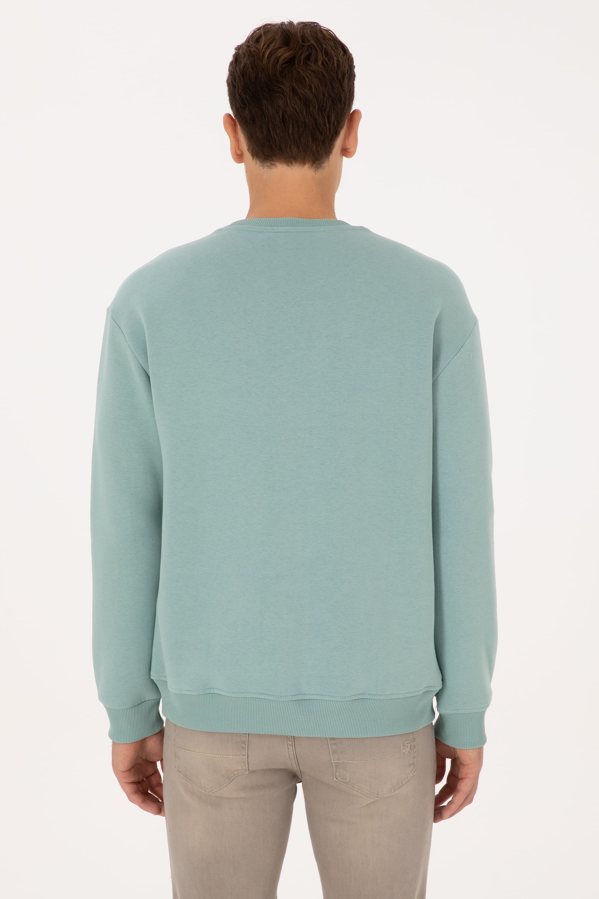 Erkek Comfort Fit Bisiklet Yaka Şardonlu Mint Basic Sweatshirt - Image 5
