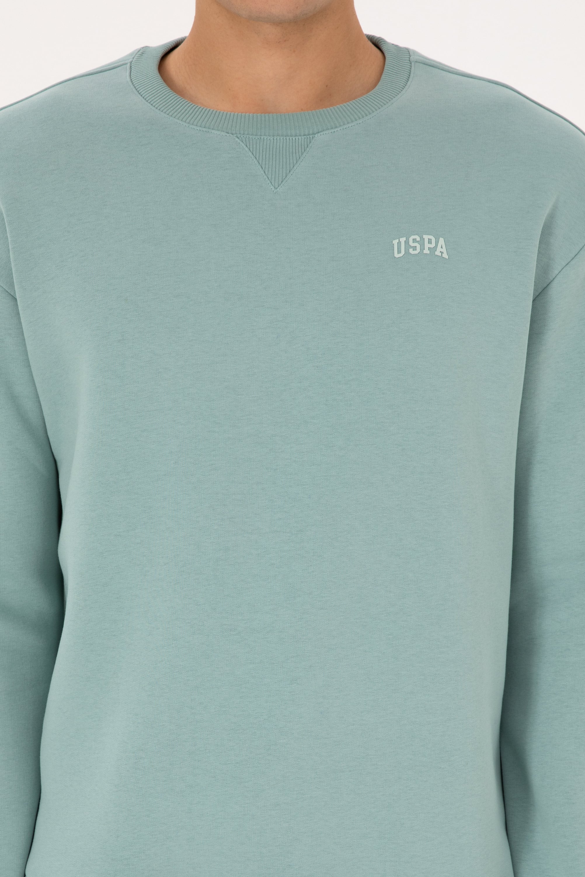 Erkek Comfort Fit Bisiklet Yaka Şardonlu Mint Basic Sweatshirt - Image 6