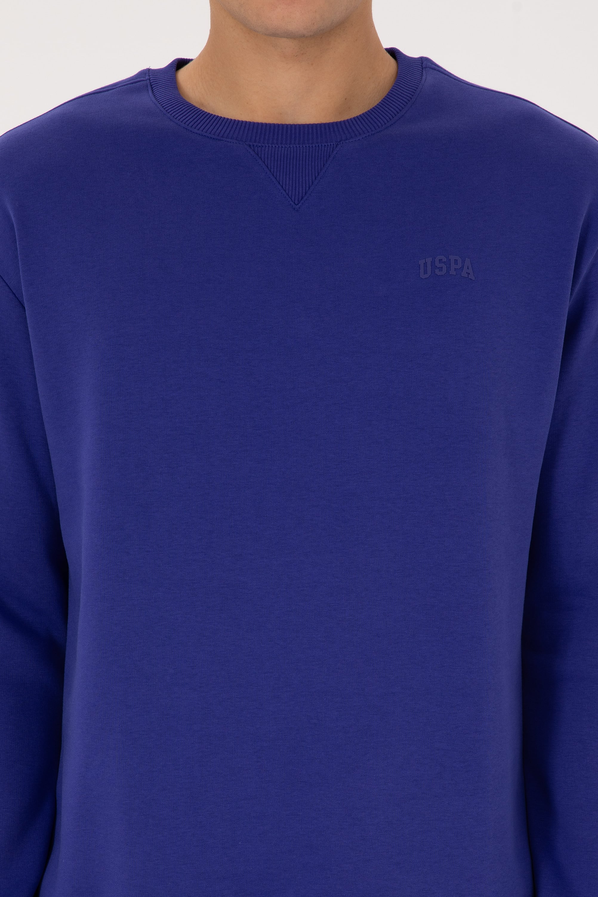 Erkek Comfort Fit Bisiklet Yaka Şardonlu Mor Basic Sweatshirt