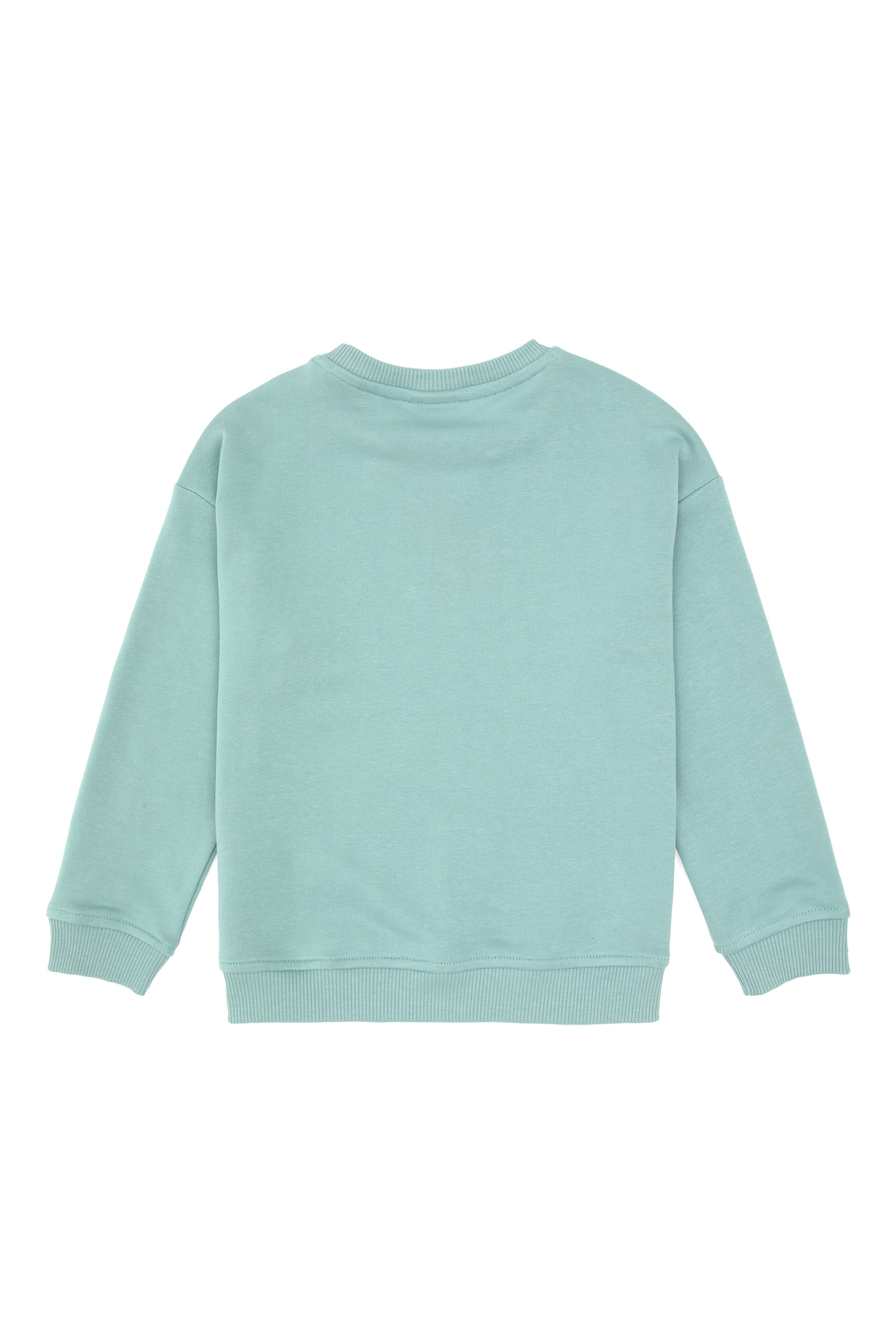 Erkek Çocuk Mint Basic Sweatshirt - Image 6
