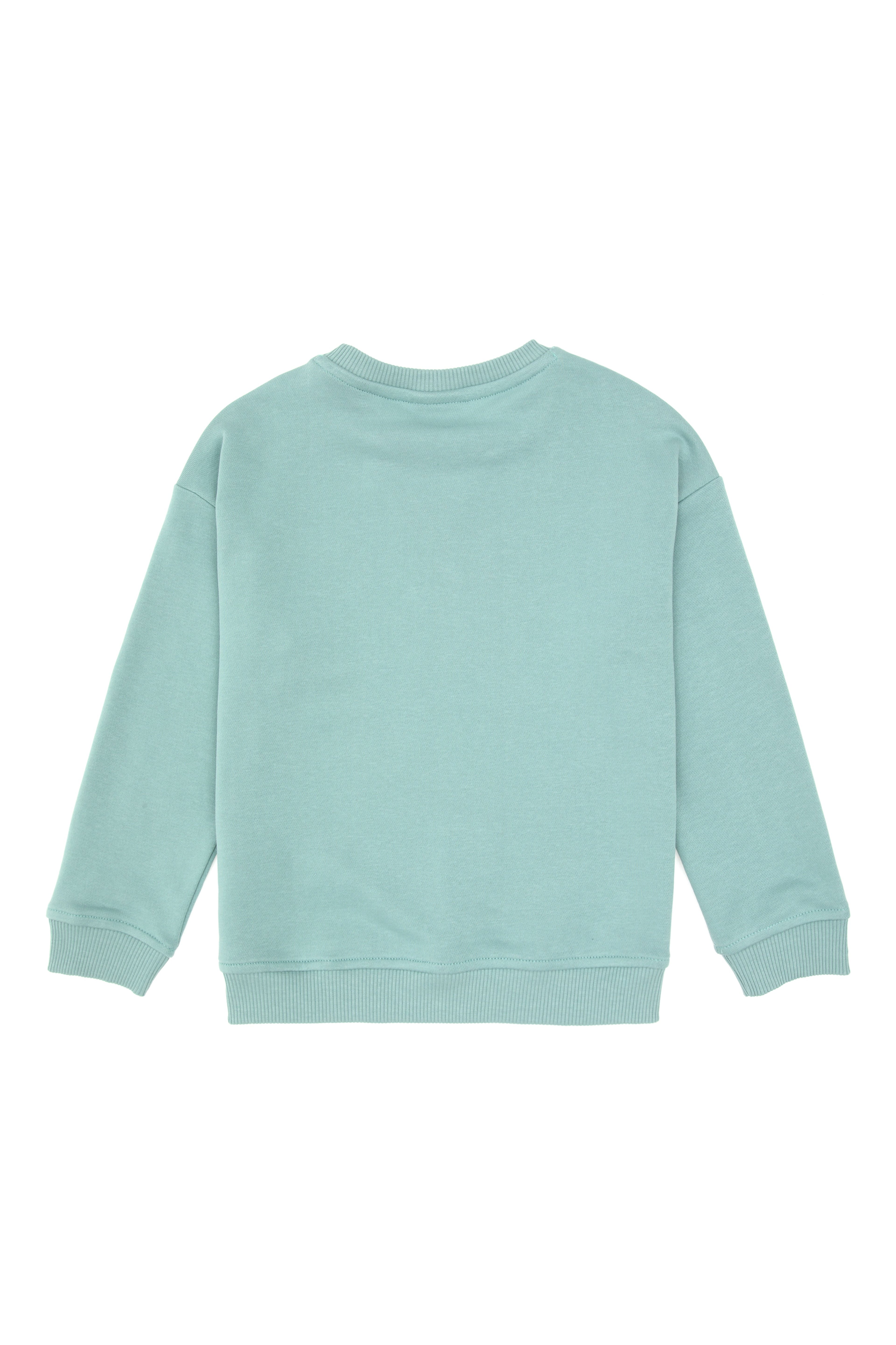 Erkek Çocuk Mint Basic Sweatshirt