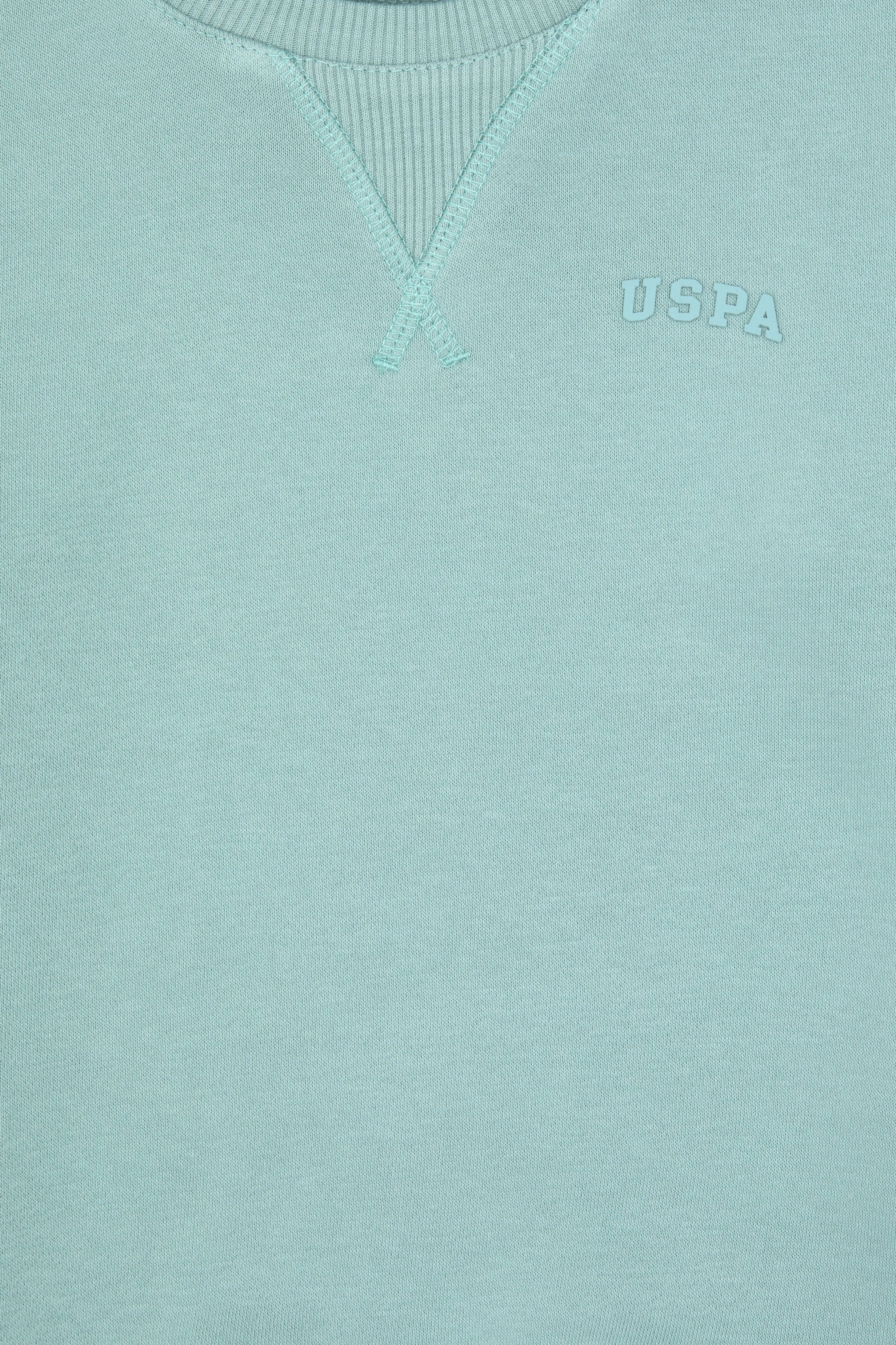 Erkek Çocuk Mint Basic Sweatshirt - Image 7