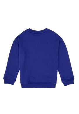 Erkek Çocuk Mor Bisiklet Yaka Basic Sweatshirt - 50313829163