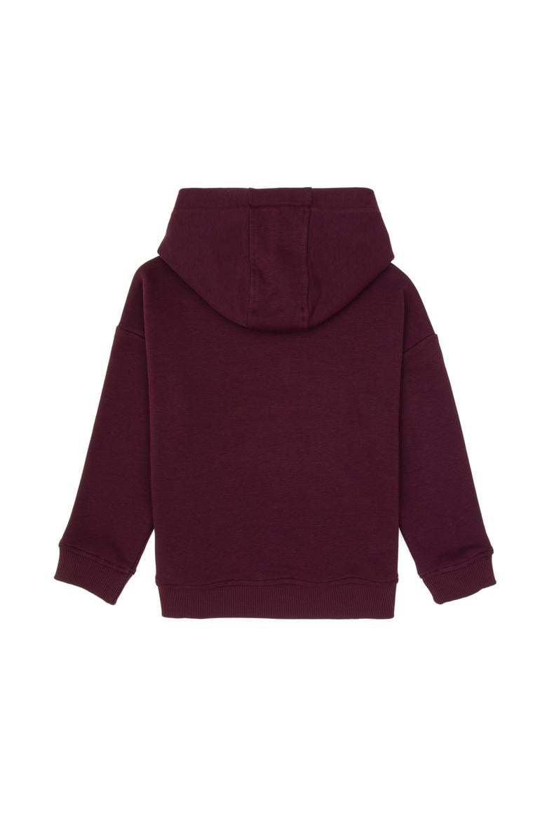 Erkek Çocuk Bordo Kapüşonlu Basic Sweatshirt - 50313941044