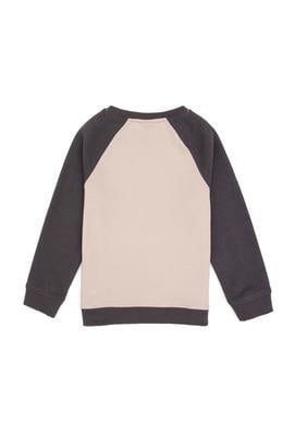 Erkek Çocuk Gri Bisiklet Yaka Sweatshirt - 50316542033