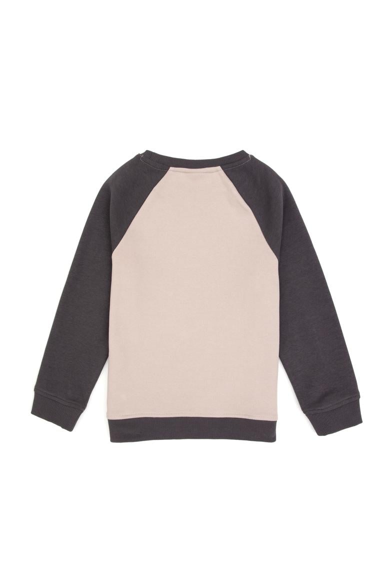 Erkek Çocuk Gri Bisiklet Yaka Sweatshirt - 50316542033