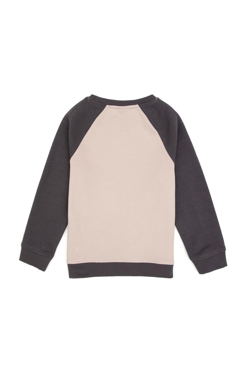 Erkek Çocuk Gri Bisiklet Yaka Sweatshirt