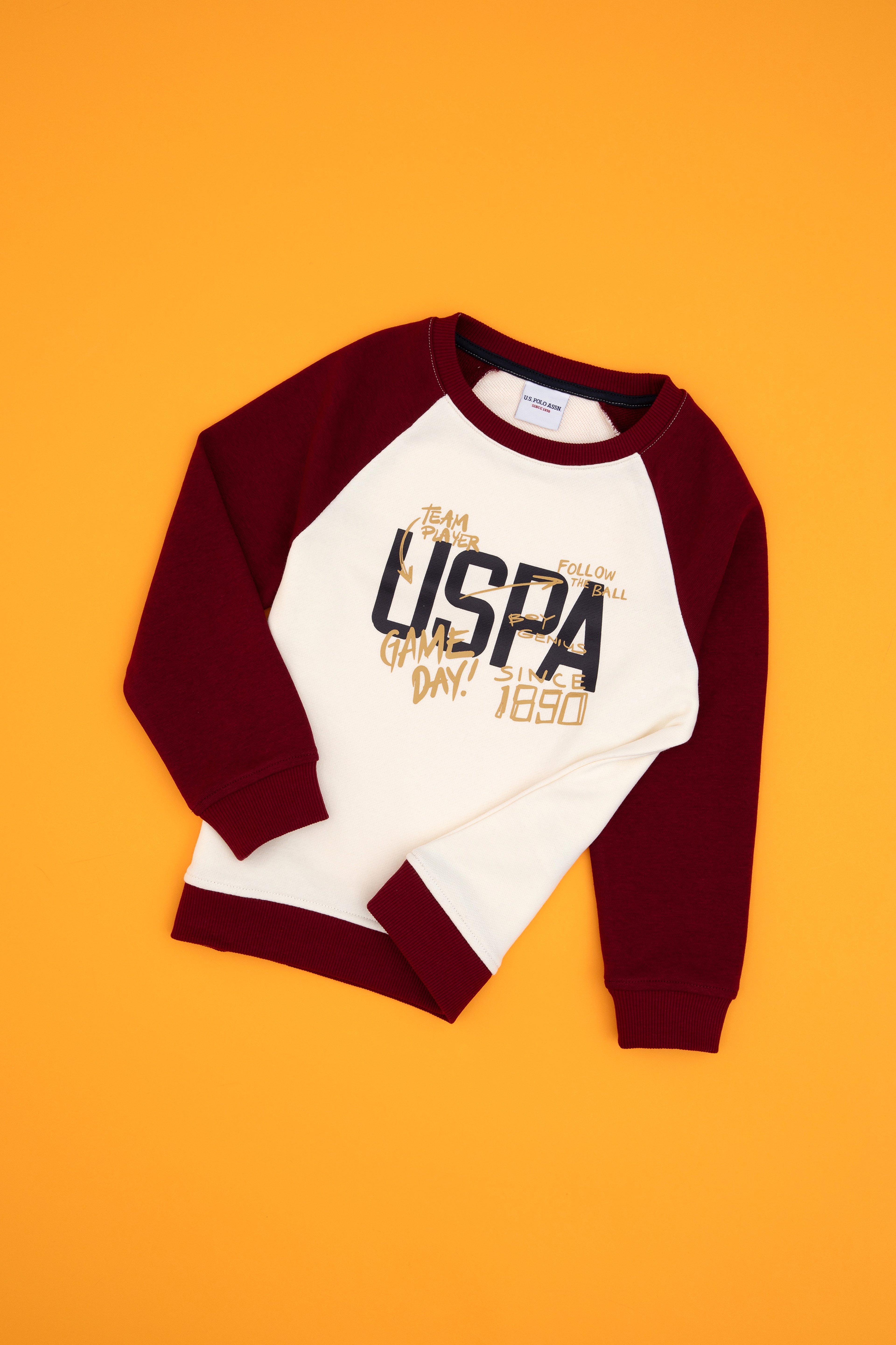 Erkek Çocuk Bordo Bisiklet Yaka Sweatshirt - Image 3
