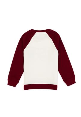 Erkek Çocuk Bordo Bisiklet Yaka Sweatshirt - 50316542002