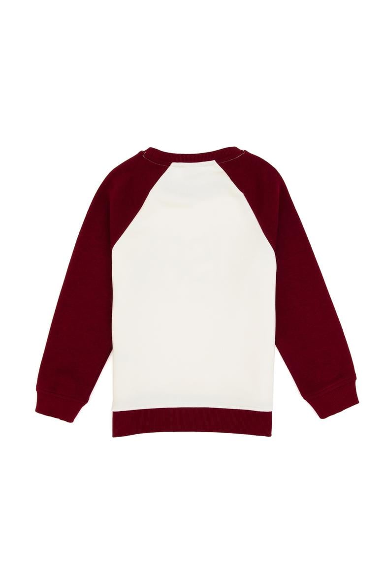 Erkek Çocuk Bordo Bisiklet Yaka Sweatshirt - 50316542002