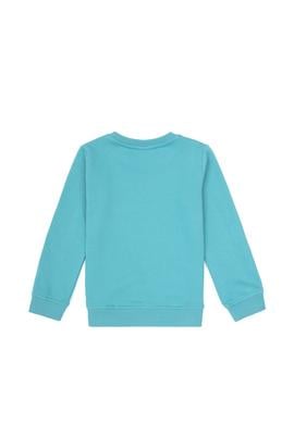 Erkek Çocuk Mint Bisiklet Yaka Sweatshirt - 50316519016