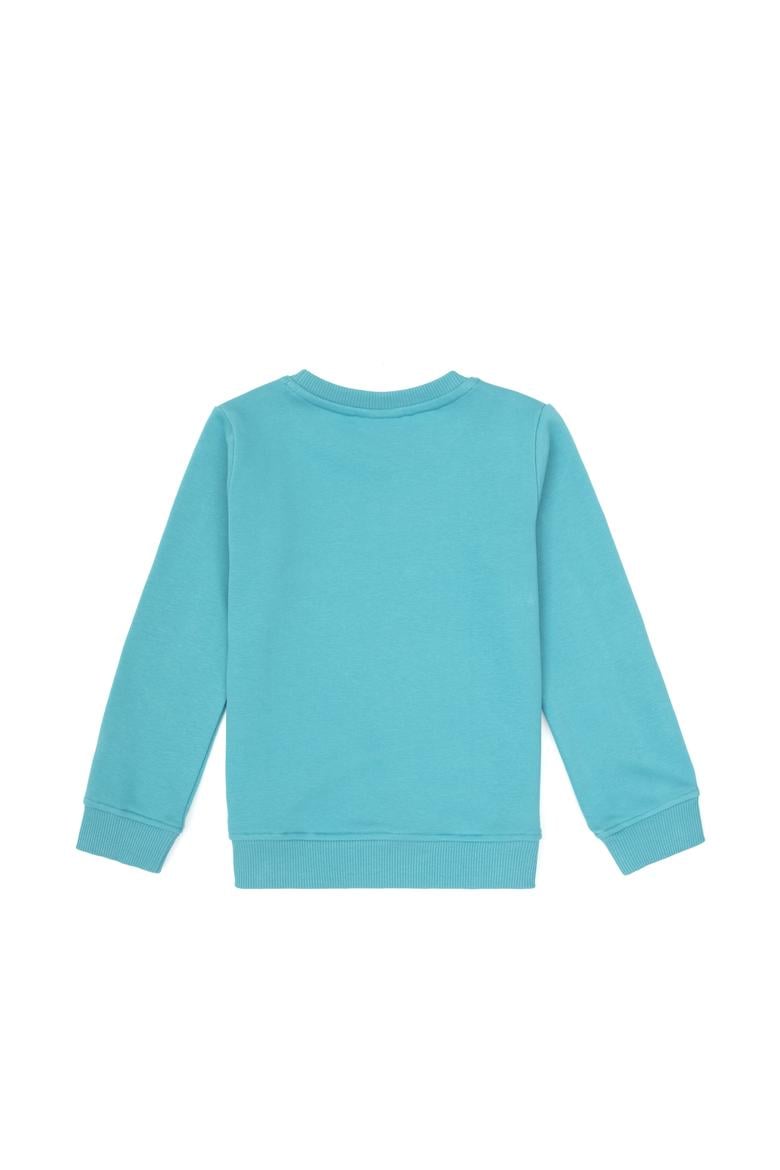 Erkek Çocuk Mint Bisiklet Yaka Sweatshirt - 50316519016