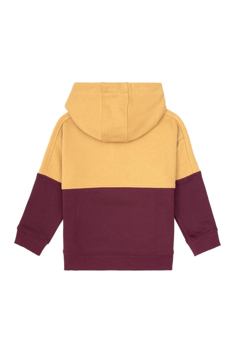 Erkek Çocuk Bordo Kapüşonlu Sweatshirt