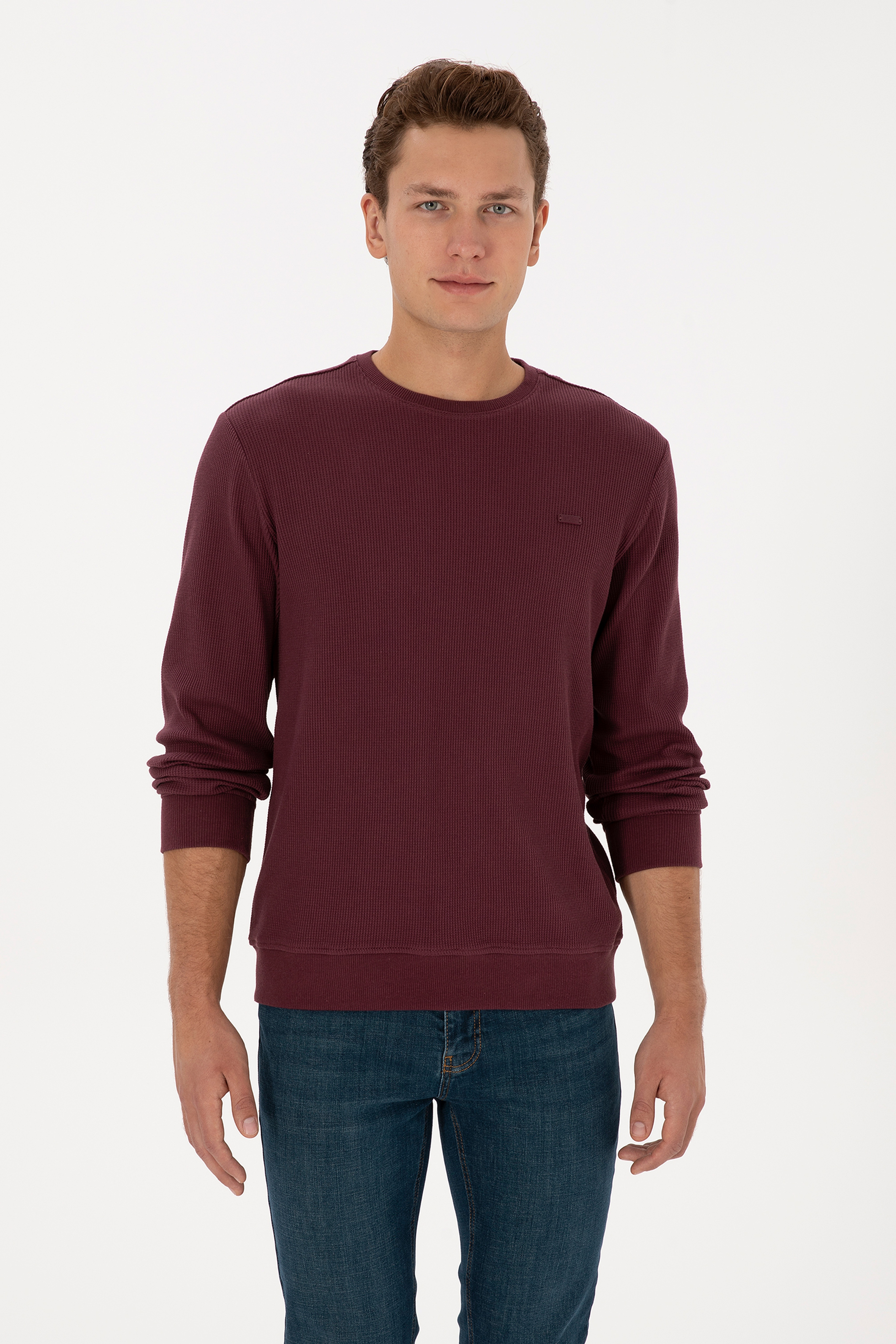 Erkek Regular Fit Bisiklet Yaka Bordo Sweatshirt - Image 1
