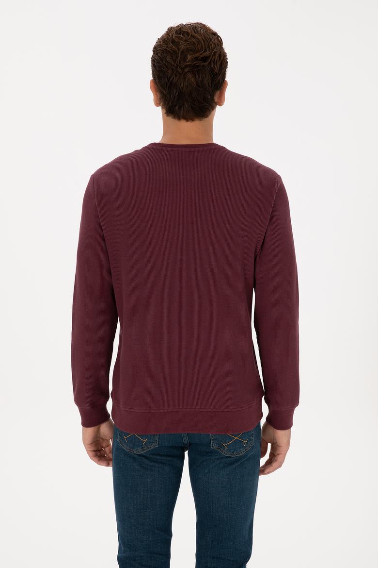 Erkek Regular Fit Bisiklet Yaka Bordo Sweatshirt - 50316390018