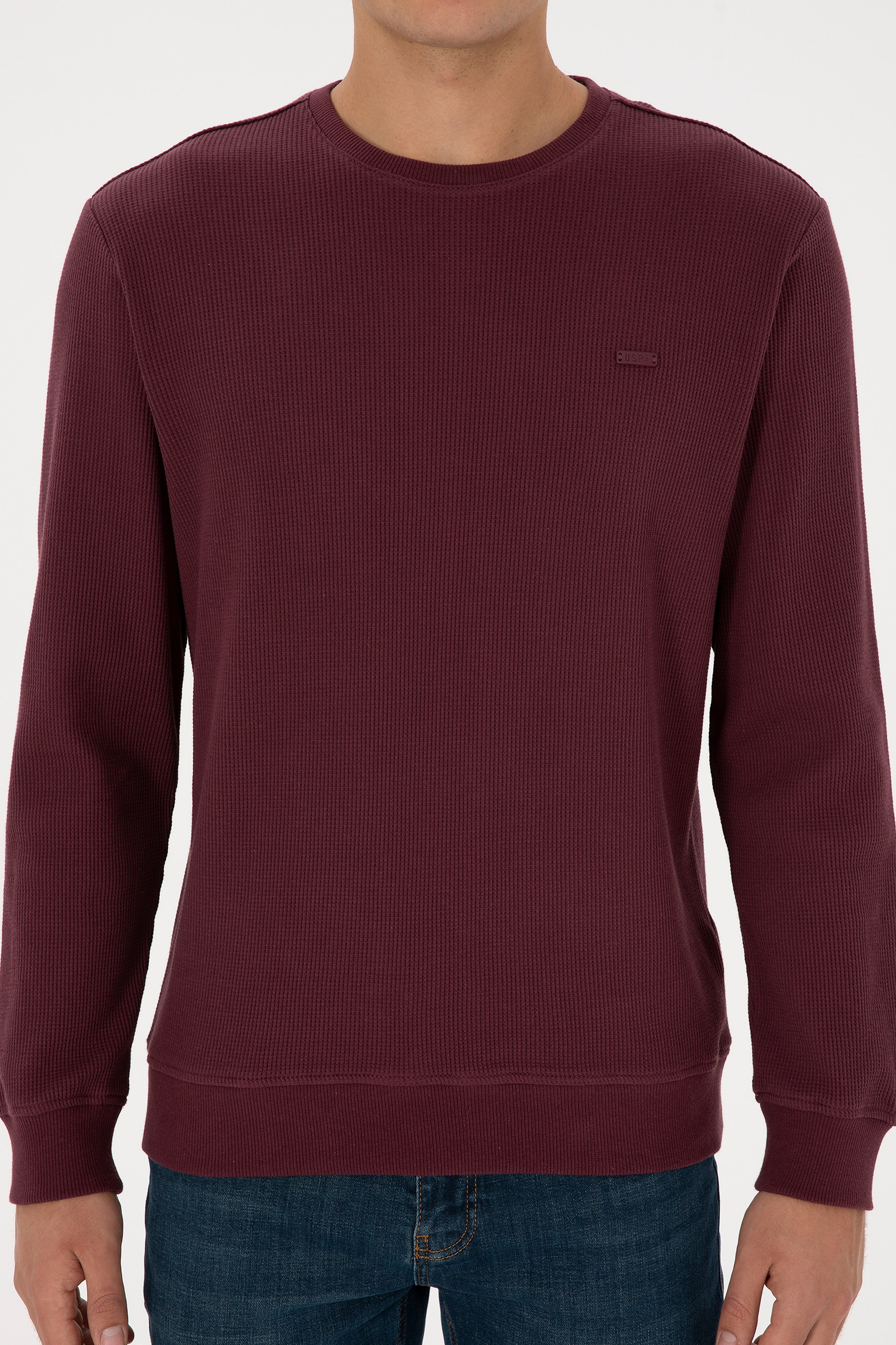 Erkek Regular Fit Bisiklet Yaka Bordo Sweatshirt - Image 6