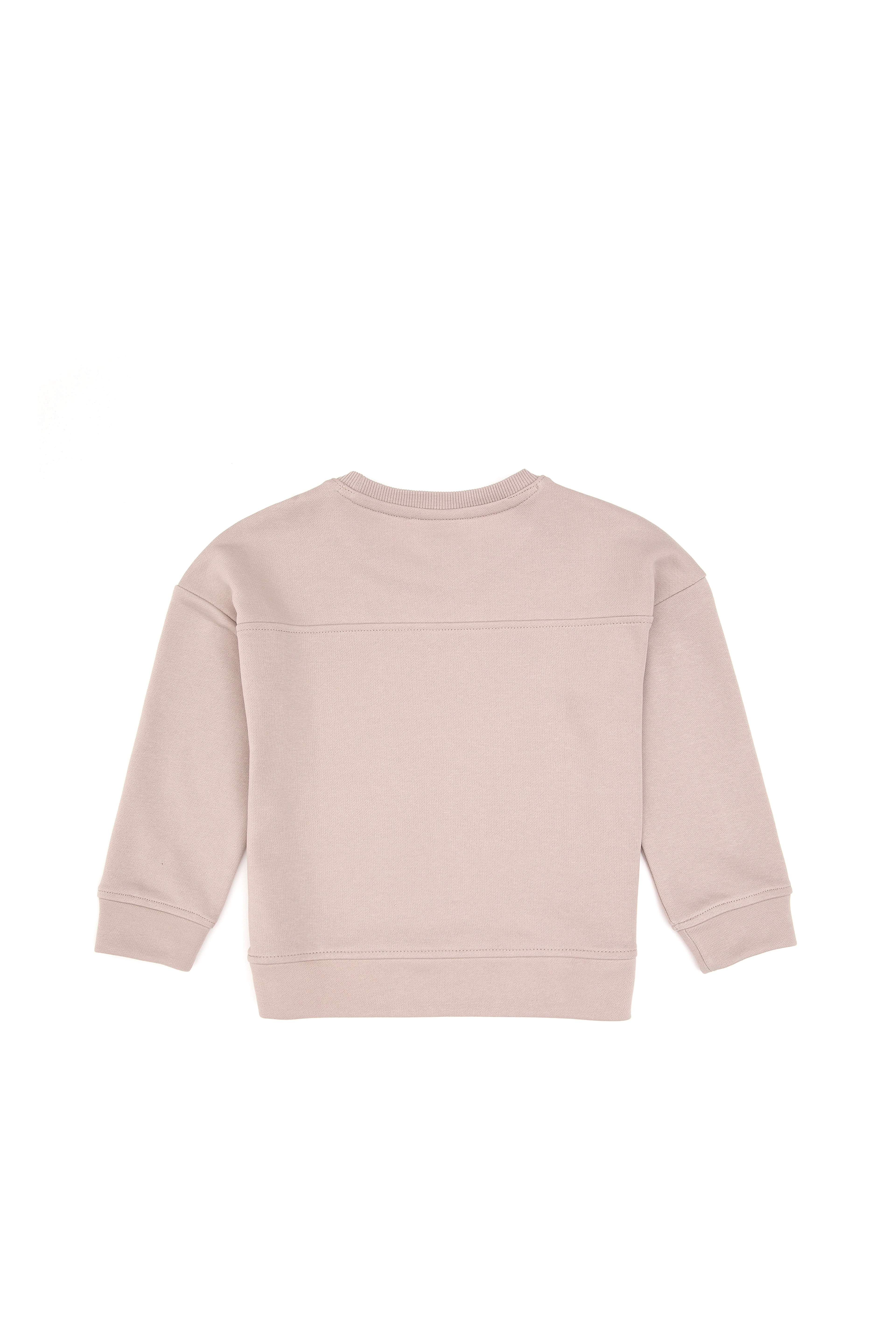 Kız Çocuk Taş Simli Baskı Detaylı Bisiklet Yaka Basic Sweatshirt