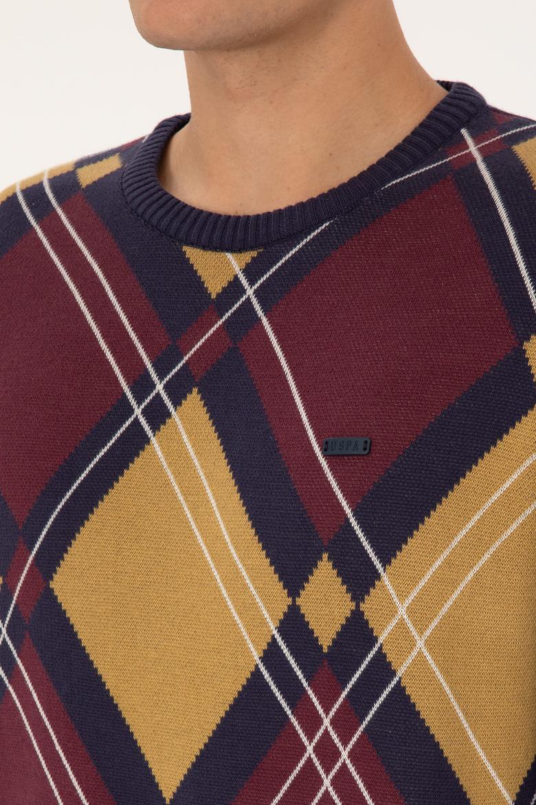 Erkek Regular Fit Bisiklet Yaka Mürdüm Kazak - 50308361032