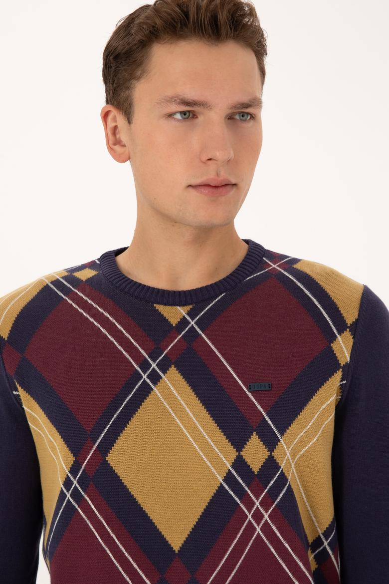 Erkek Regular Fit Bisiklet Yaka Mürdüm Kazak - 50308361032