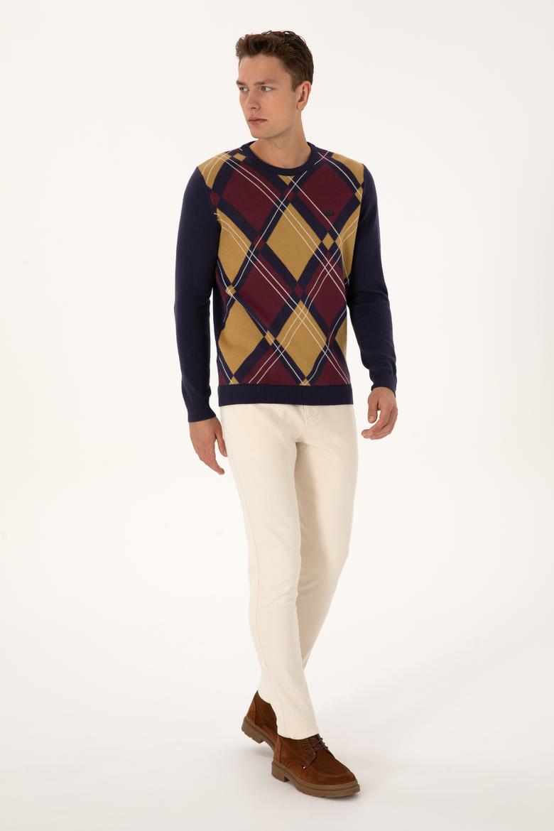 Erkek Regular Fit Bisiklet Yaka Mürdüm Kazak - 50308361032