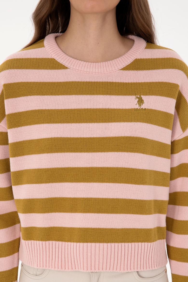 Kadın Pudra Çizgili Bisiklet Yaka Kazak - 50314653027