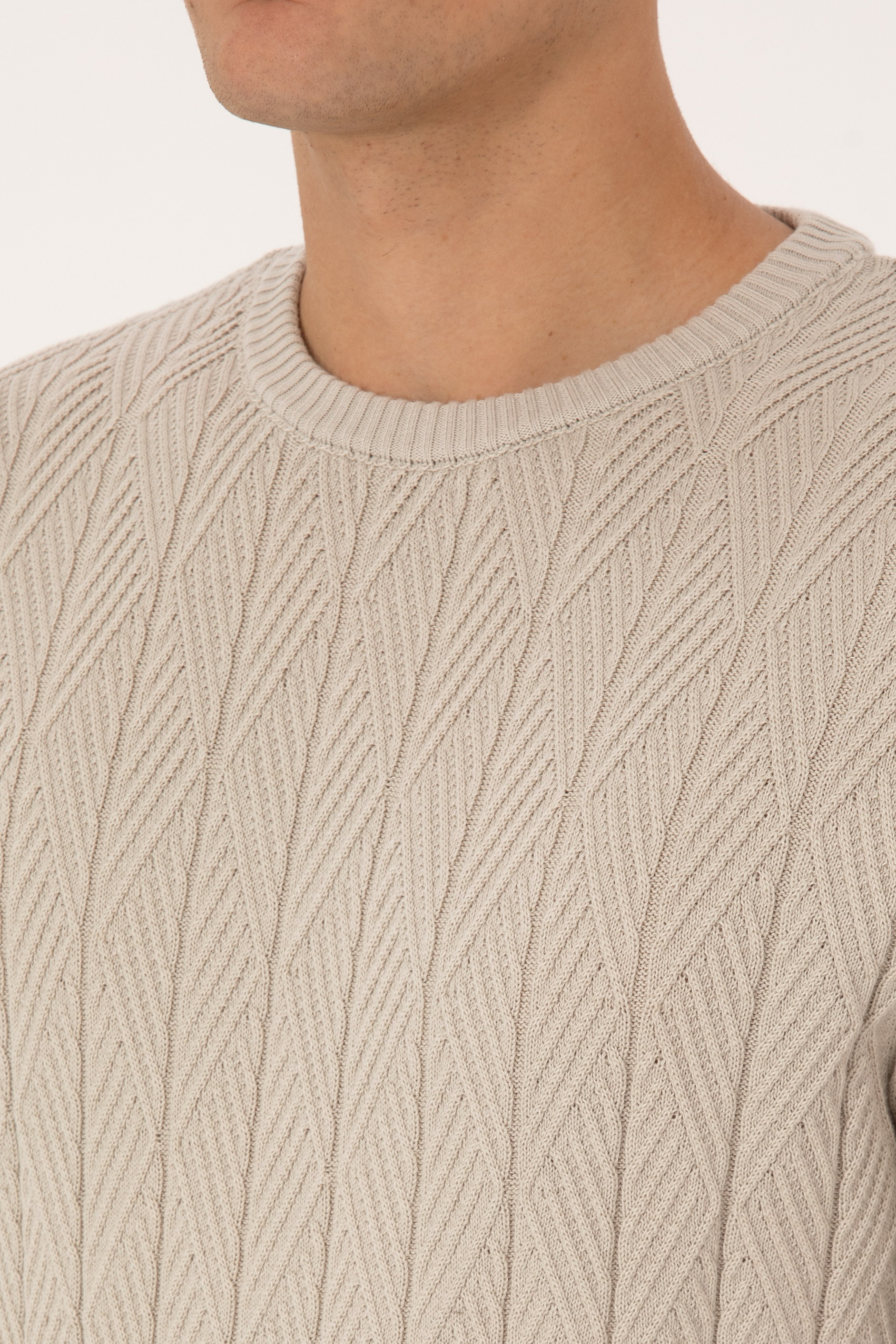 Erkek Slim Fit Bisiklet Yaka Taş Kazak