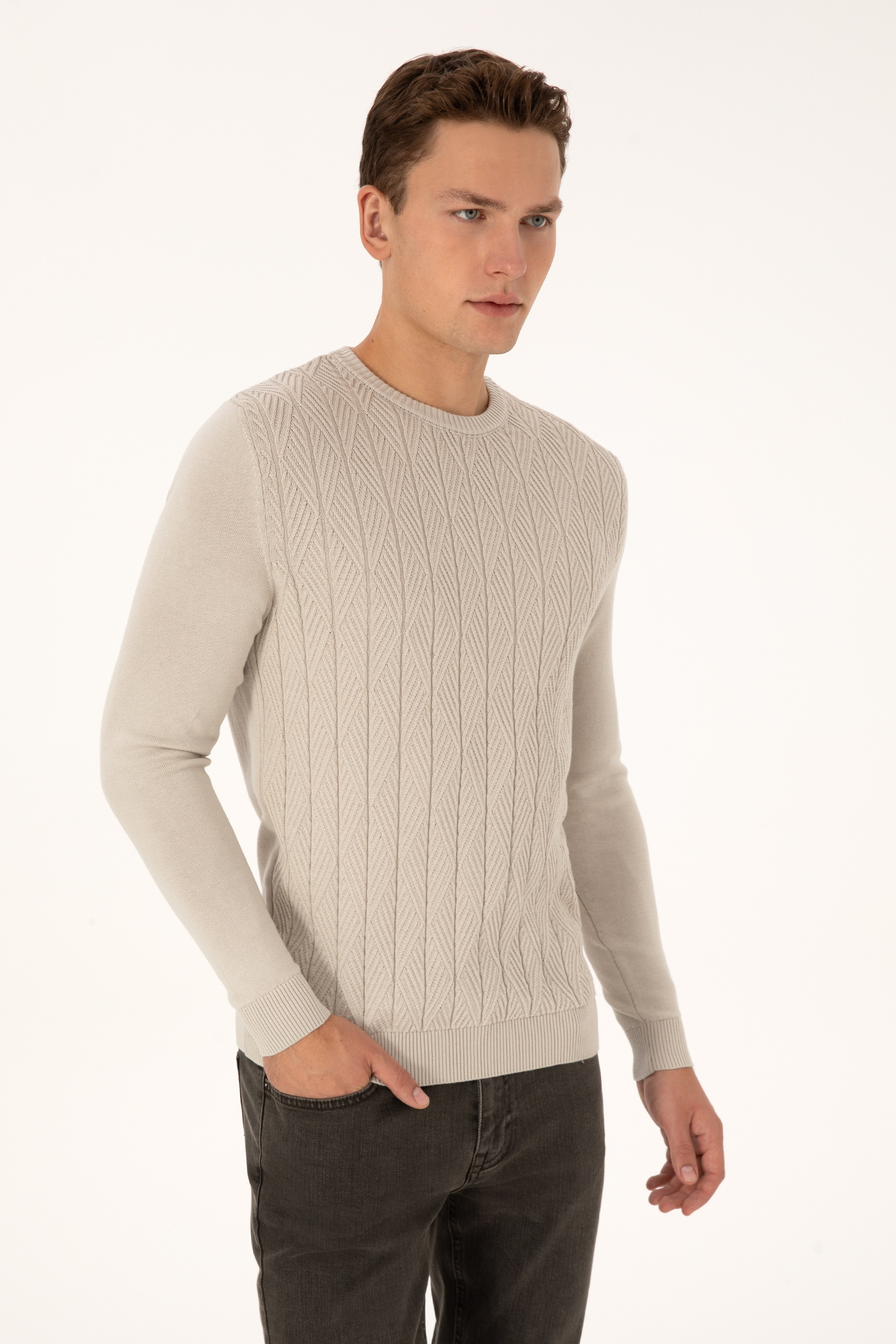 Erkek Slim Fit Bisiklet Yaka Taş Kazak