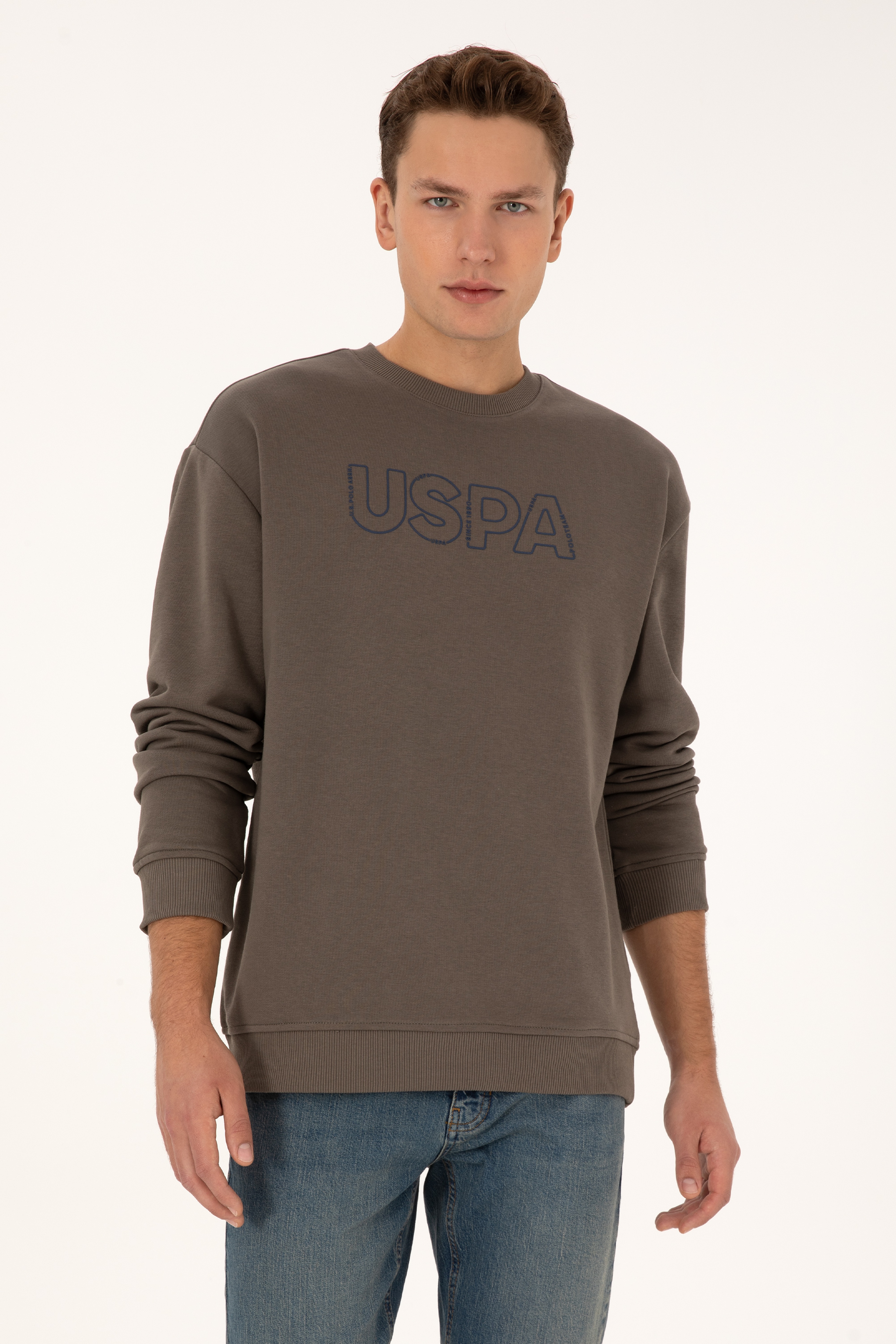 Erkek Comfort Fit Bisiklet Yaka Vizon Sweatshirt - Image 1