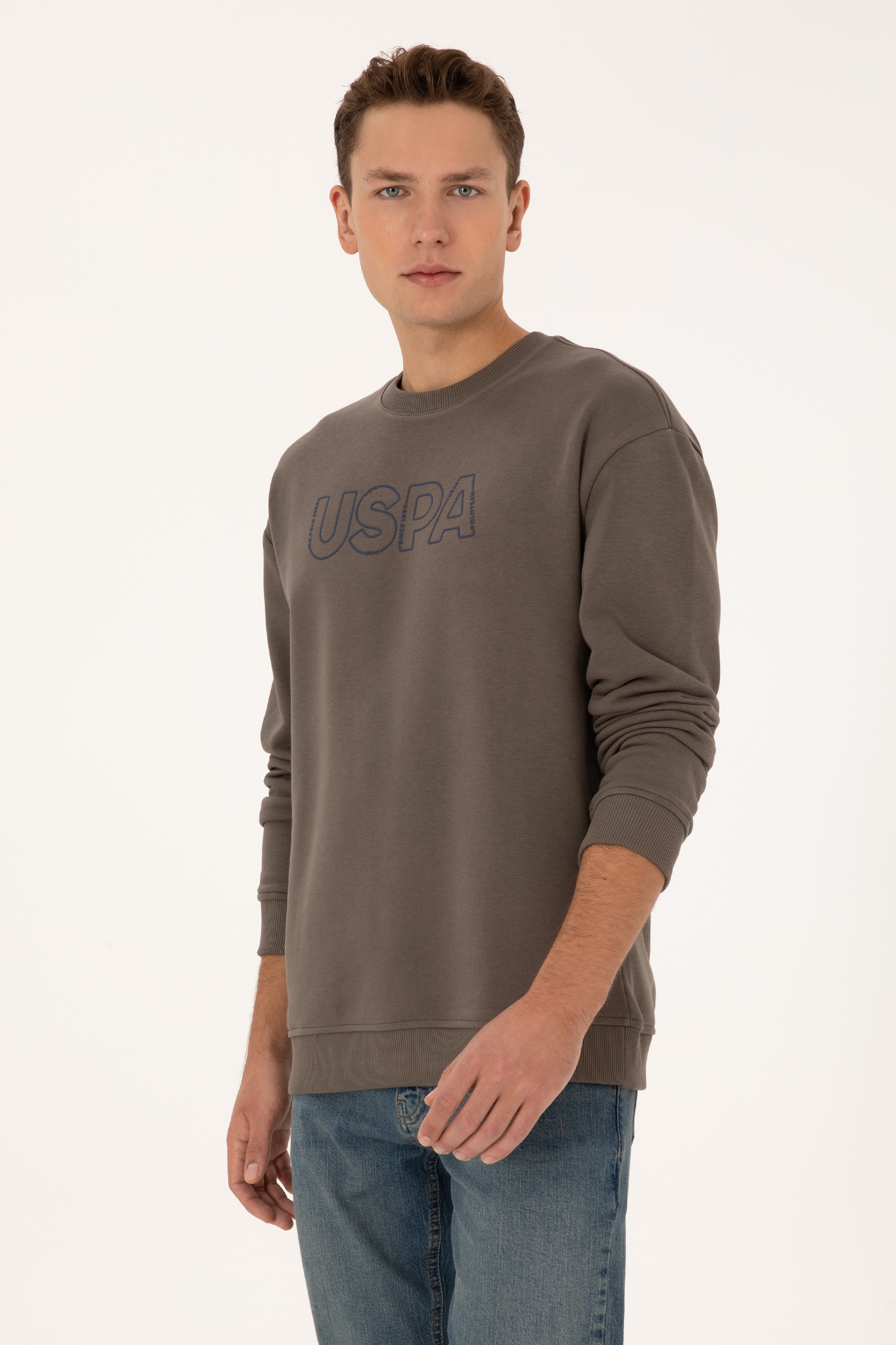 Erkek Comfort Fit Bisiklet Yaka Vizon Sweatshirt - Image 3