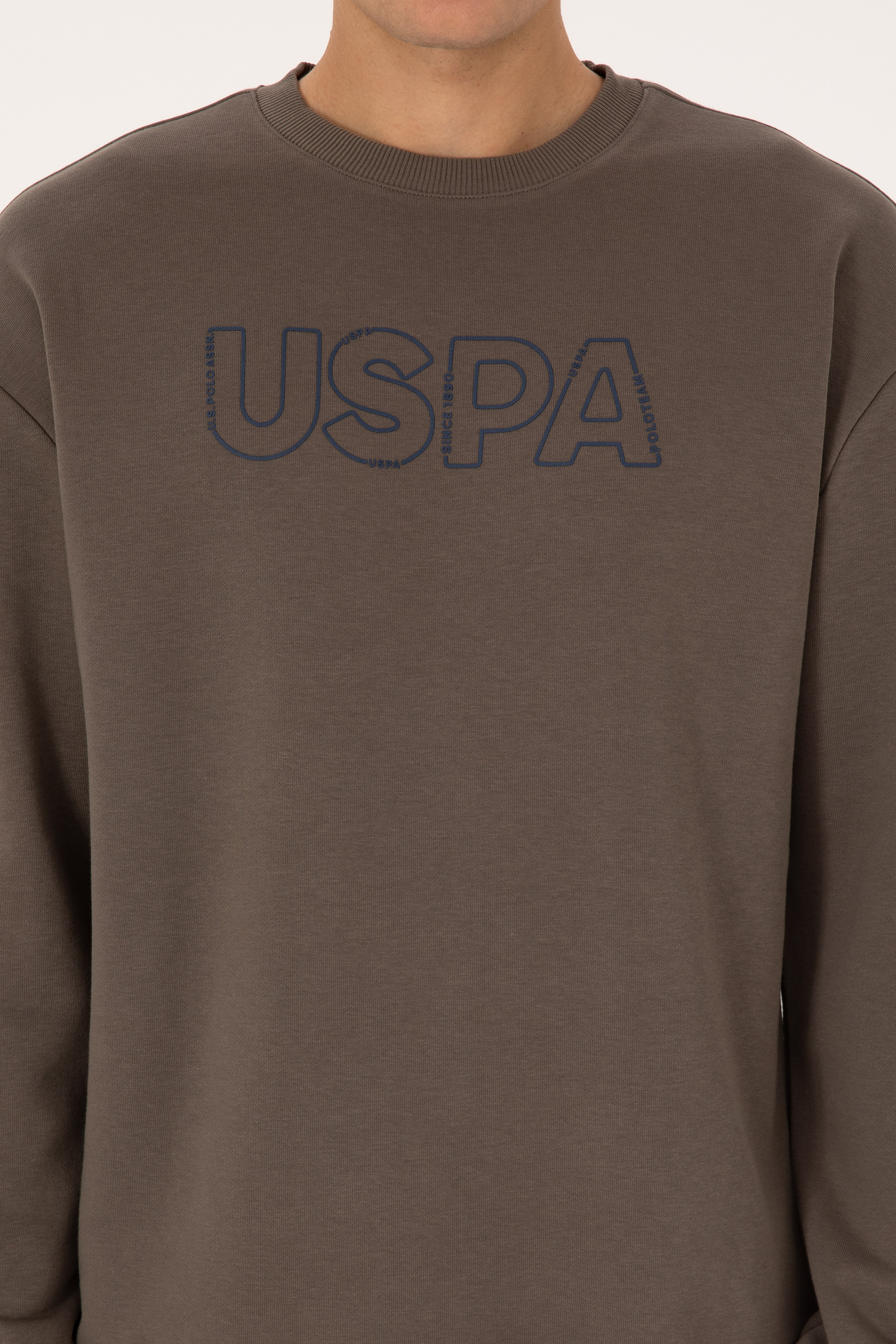 Erkek Comfort Fit Bisiklet Yaka Vizon Sweatshirt - Image 6