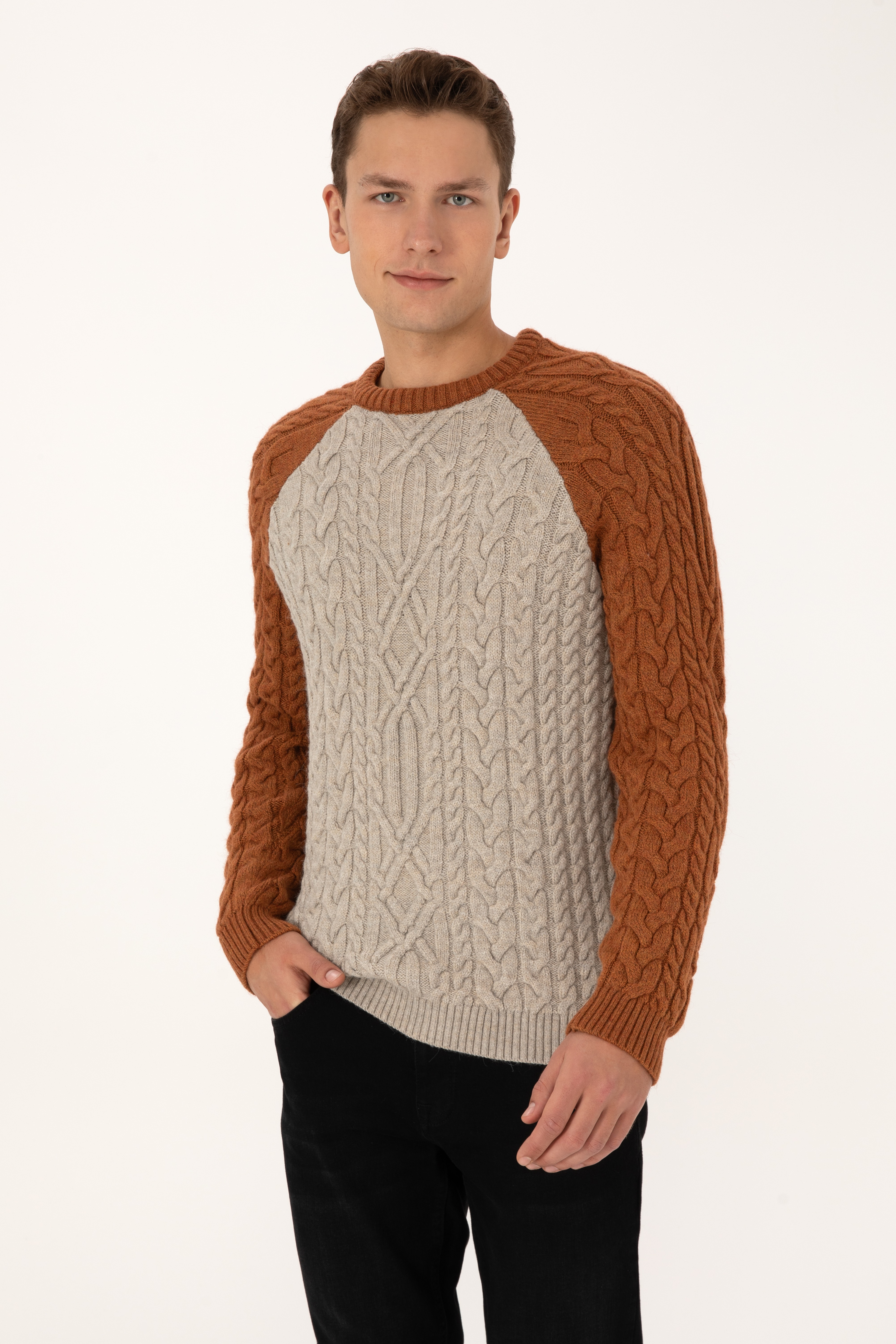 Erkek Regular Fit Bisiklet Yaka Taş Kazak - Image 1