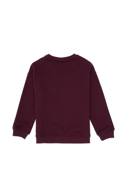 Erkek Çocuk Bordo Bisiklet Yaka Basic Sweatshirt