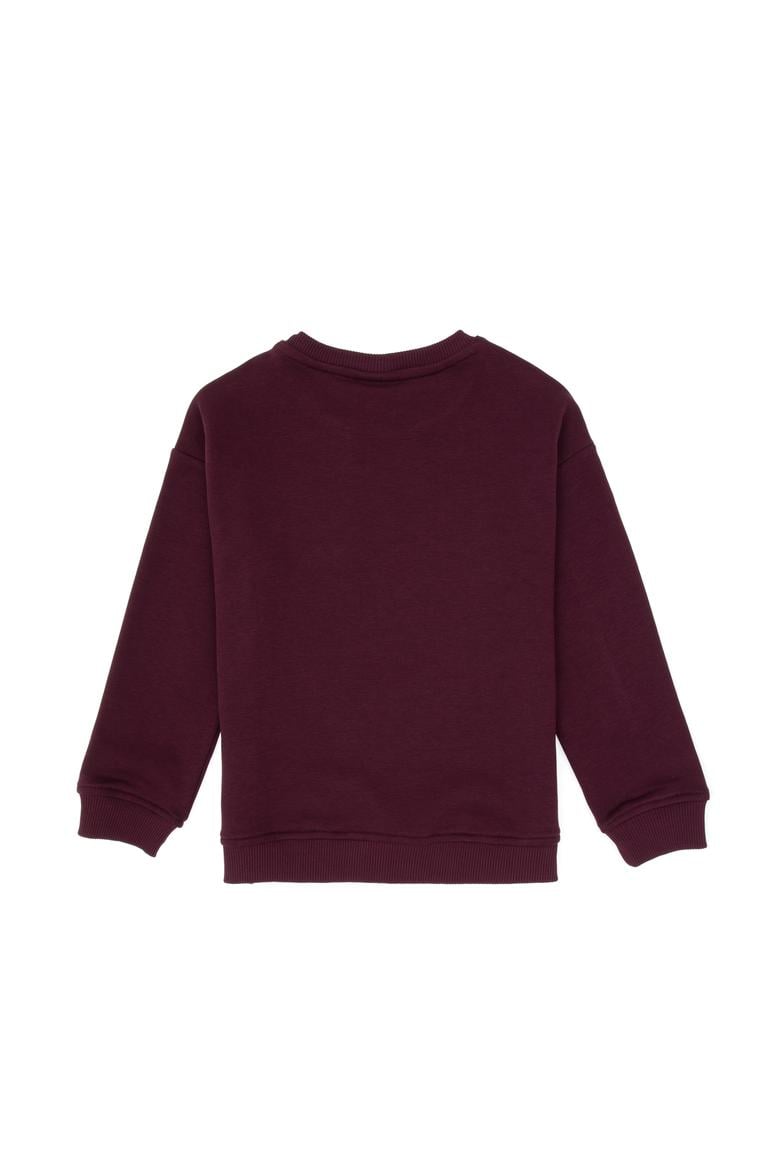 Erkek Çocuk Bordo Bisiklet Yaka Basic Sweatshirt - 50313829096
