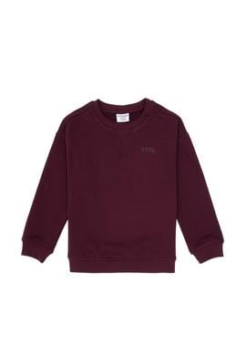 Erkek Çocuk Bordo Bisiklet Yaka Basic Sweatshirt - 50313829096