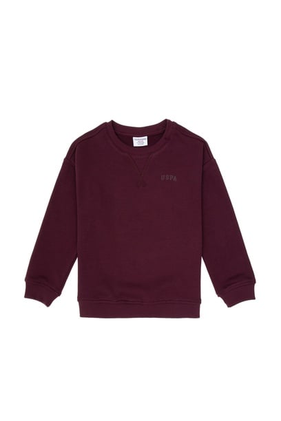 Erkek Çocuk Bordo Bisiklet Yaka Basic Sweatshirt