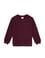 Erkek Çocuk Bordo Bisiklet Yaka Basic Sweatshirt